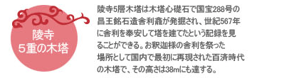 陵寺5層木塔は木塔心礎石で国宝288号の昌王銘石造舎利龕が発掘され、世紀567年に舎利を奉安して塔を建てたという記録を見ることができる。お釈迦様の舎利を祭った場所として国内で最初に再現された百済時代の木塔で、その高さは38mにも達する。